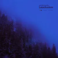 Leadwave — Unfortunately — обложка